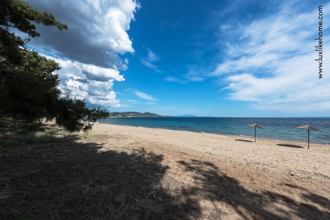 #Luxlikehome - Mediterranee Beachfront Summer House Kalyves Polygyrou Kültér fotó