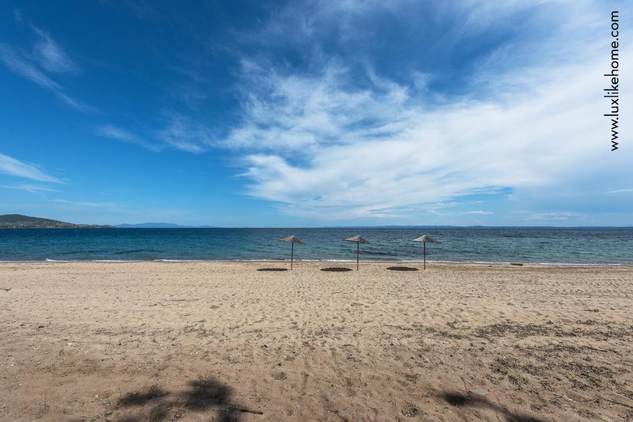 #Luxlikehome - Mediterranee Beachfront Summer House Kalyves Polygyrou Kültér fotó